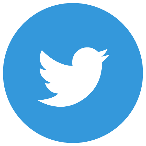 twitter icon